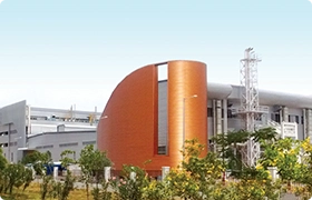 Chemicals & Fertilizers