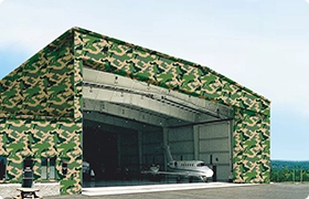 Defence